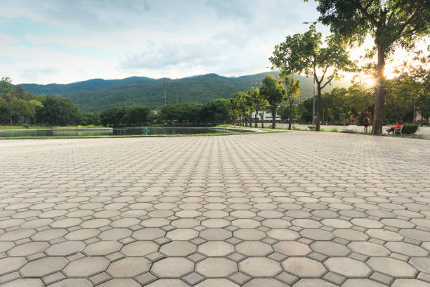 Best Interlocking Driveway Pavers  in Port Labelle, FL